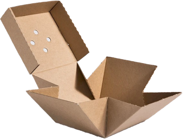 Burger box 120x120x100, 100 kusov