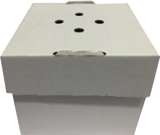 Burger box 120x120x100, 100 kusov